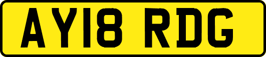 AY18RDG