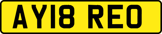 AY18REO