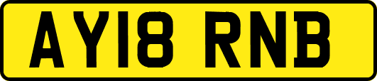 AY18RNB