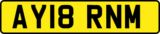 AY18RNM
