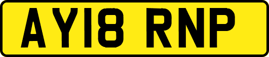AY18RNP