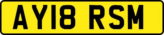 AY18RSM