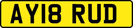 AY18RUD