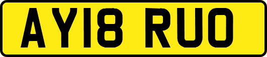 AY18RUO