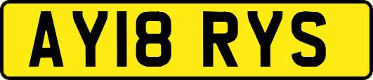 AY18RYS