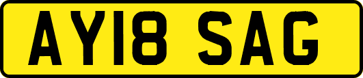 AY18SAG