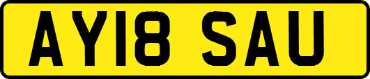 AY18SAU