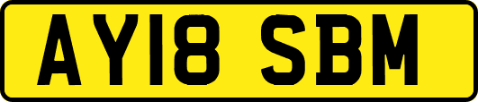 AY18SBM
