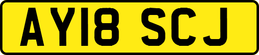 AY18SCJ