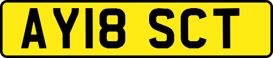 AY18SCT