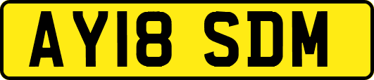 AY18SDM