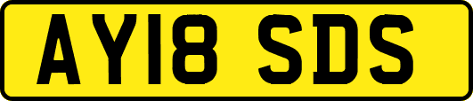 AY18SDS