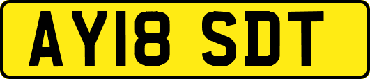 AY18SDT
