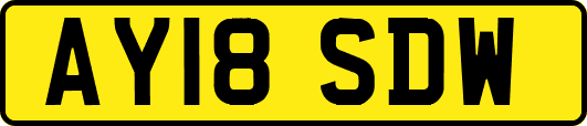 AY18SDW