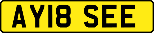 AY18SEE