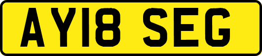 AY18SEG
