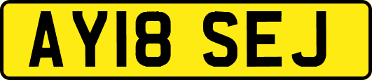 AY18SEJ