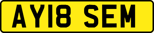 AY18SEM