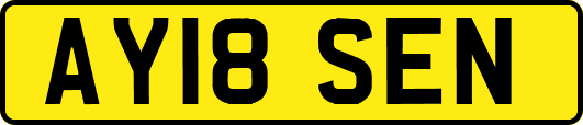 AY18SEN