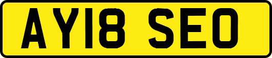 AY18SEO
