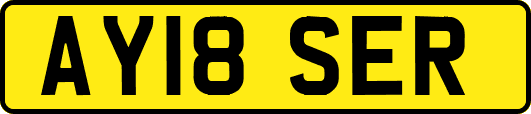 AY18SER