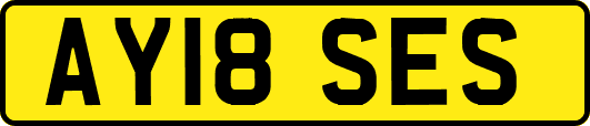 AY18SES