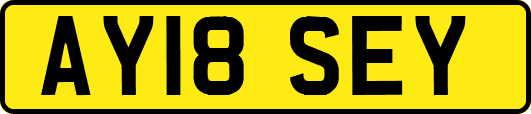 AY18SEY