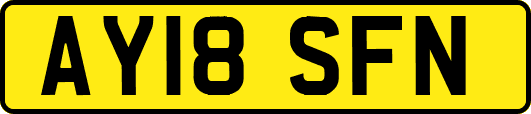 AY18SFN