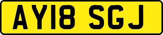 AY18SGJ