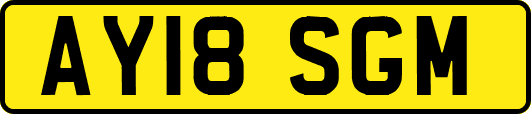 AY18SGM