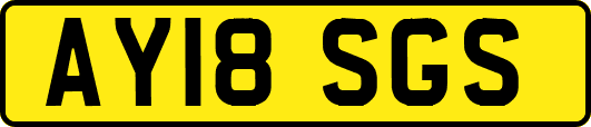 AY18SGS