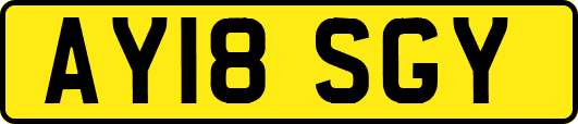 AY18SGY