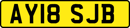 AY18SJB