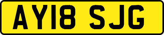 AY18SJG