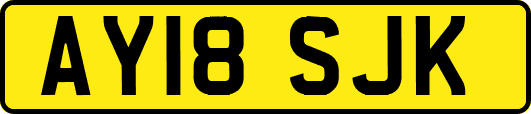 AY18SJK