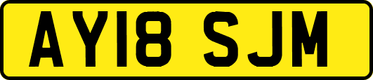 AY18SJM