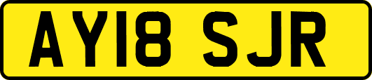 AY18SJR