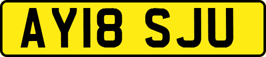 AY18SJU