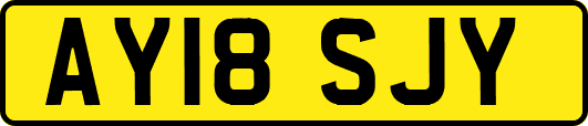 AY18SJY