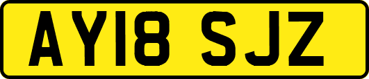AY18SJZ