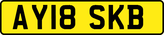 AY18SKB