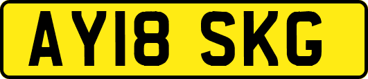 AY18SKG