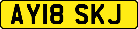 AY18SKJ