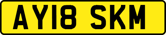 AY18SKM