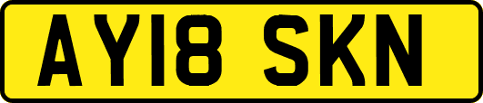 AY18SKN