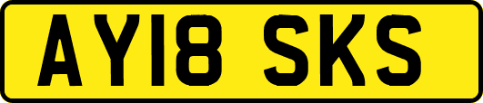 AY18SKS