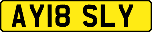 AY18SLY