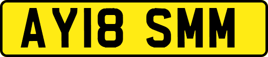 AY18SMM