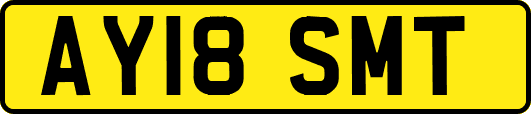 AY18SMT