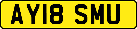 AY18SMU
